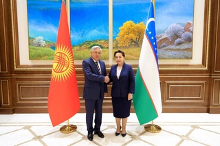 Председатель Сената встретилась с Послом Кыргызской Республики