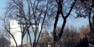 Прогноз погоды на 25 февраля