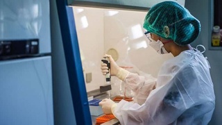 ВОЗ объявила о начале клинических испытаний трех препаратов для лечения COVID-19