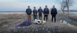 В Каракалпакстане браконьеры незаконно выловили рыбы на более 750 млн сумов