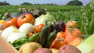 Ердан фойдаланувчиларга 1 миллион сўмгача субсидия берилади