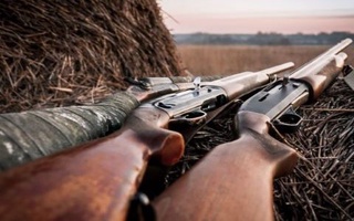 Қаруға рұқсатты қалай алуға болады?