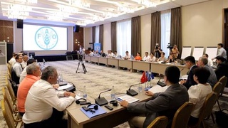 ФАО подготовила рекомендации для сокращения потерь продовольствия в Узбекистане