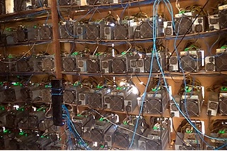 В Бухарской области раскрыли незаконную деятельность майнинговой фермы