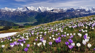 В Узбекистане после похолодания и осадков температура к концу недели поднимется до +15 градусов