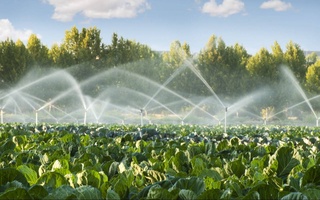 Установлены лимиты использования воды для орошения