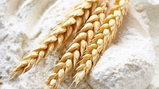 Uzbekistan has increased the import of flour by 22 thousand tons in a year