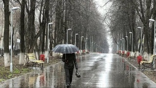 Прогноз погоды на день 8 декабря