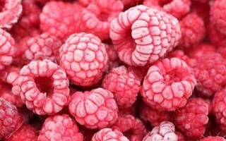 Узбекистан наращивает экспорт замороженной малины в Россию