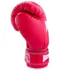 Уч нафар профессионал боксчимиз Россияда жанг ўтказади