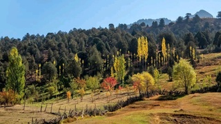 Ўзбекистонда илиқ ва қуруқ об-ҳаво сақланиб туради