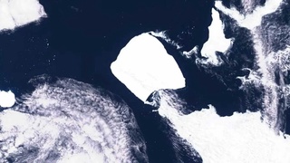 The world's greatest iceberg has started moving towards warm waters