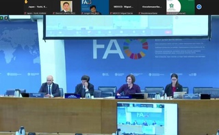 Узбекистан подтвердил свое участие в глобальной инициативе ФАО «Одна страна - один приоритетный продукт»