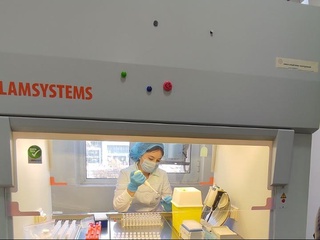 Бачадон бўйни саратонига  бепул текширувлар амалда