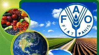 «Одна страна - один приоритетный продукт» - новая инициатива ФАО в Центральной Азии