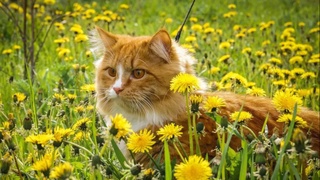 В Узбекистане на этой неделе ожидается потепление до +32 градусов