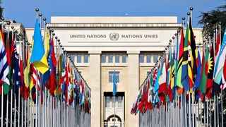 Верховенство закона и правосудие - важные условия для создания нового Узбекистана