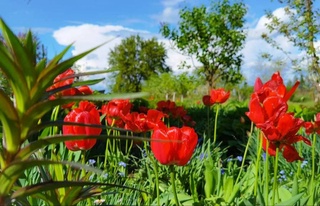 Weather forecast for April 11