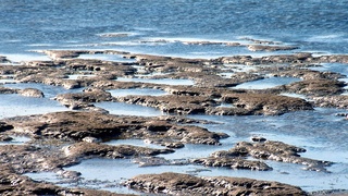 Уровень Каспийского моря опустился до рекордно низкой отметки