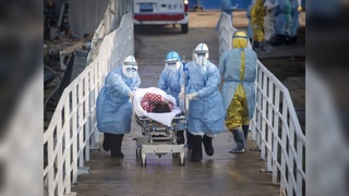 Коронавирус Хитойда 2019 йилнинг октябрида пайдо бўлган (ми?)