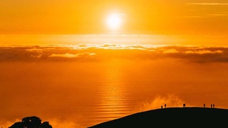 2020 год стал одним из трех самых жарких лет в истории метеонаблюдений