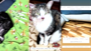 Тергов жараёнида ҳолатга ойдинлик киритилади