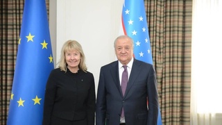 Абдулазиз Камилов принял Специального представителя ЕC по Центральной Азии