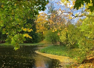 Пешгӯии обу ҳаво барои 11 октябр