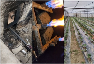 Toshkentda “zangori yoqilgʻidan“ noqonuniy foydalangan “parnik“ aniqlandi