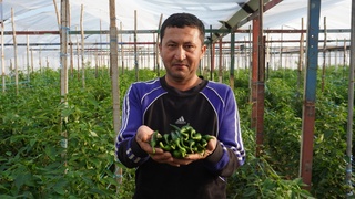 Умное земледелие для будущего поколения