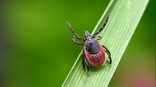 Еще один вирус