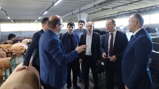 В Кашкадарье будет реализован инвестиционный проект на 1,8 млн долларов по переработке овчины