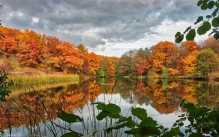 Weather forecast for November 11th