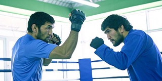 Единоборства в Узбекистане: почему этим заинтересовались инвесторы из Дубая