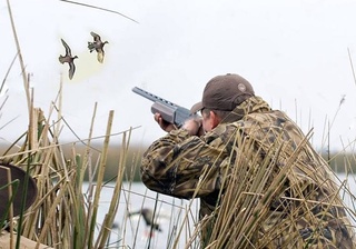Незаконная охота: в текущем году приняты меры в отношении 298 человек