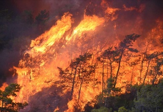 Ispaniya va Portugaliyada o'rmon yong'inlari katta talafot etkazdi