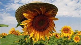 В Узгидромете рассказали о погоде на выходные