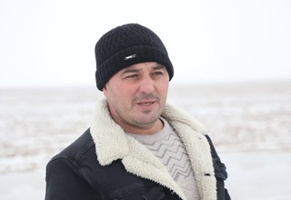 Сариқ тарвуз етиштирган косонлик тадбиркор экспортбоп лавлаги экди