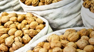 Экспорт орехов - свыше 2180 тонн