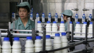 Пандемия  туфайли Хитойда  сутни  қайта  ишлаш  қисқармоқда