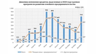 Статистика по кредитам, выделенных в рамках программ развития семейного предпринимательства в 2020 году