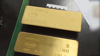 24 килограмм олтинни ноқонуний олиб чиқмоқчи бўлган шахс Домодедово аэропортида қўлга олинди