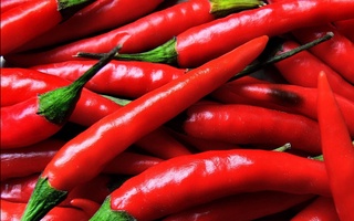 Помидор ва қалампирларимизга кўз тегдими?