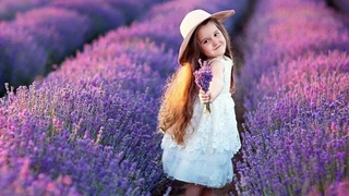 Фестиваль лаванды в Ферганской области