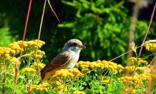 Прогноз погоды на день 28 апреля