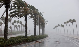 “Иэн” тўфони оқибатлари маълум қилинди