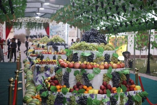 В Сурхандарьинской области впервые прошел фестиваль винограда