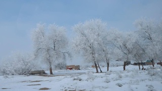 Ҳафта охирида ҳарорат кескин пасаяди — «Ўзгидромет»