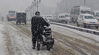 Yaponiya va Janubiy Koreyada “sovuq front”