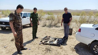 Незаконные действия охотников рассмотрят в суде